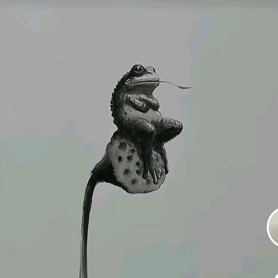 老五