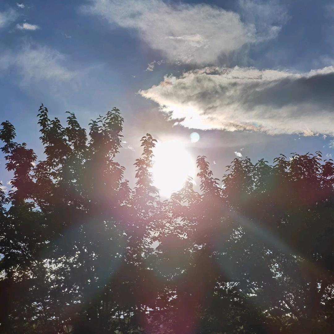 你猜我是谁猜你是谁