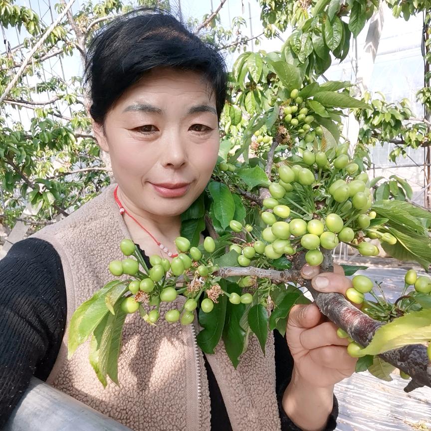 樱桃姐😁😁