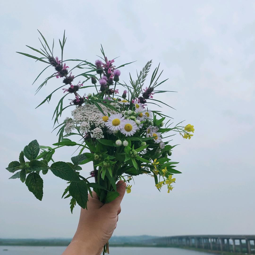 皖南丫头