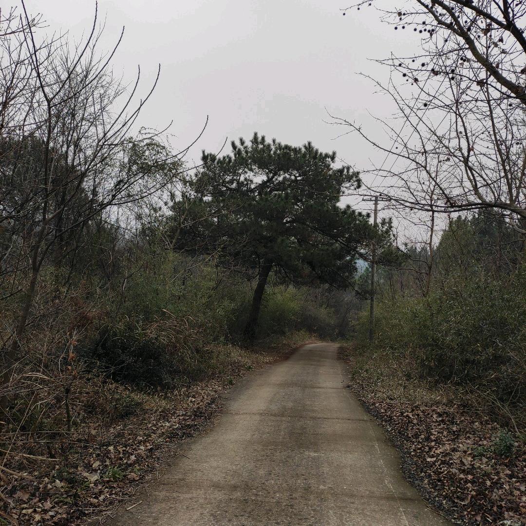 平凡人生