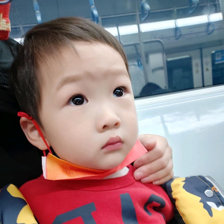 不会游泳的鱼