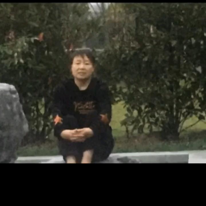 泰安东平