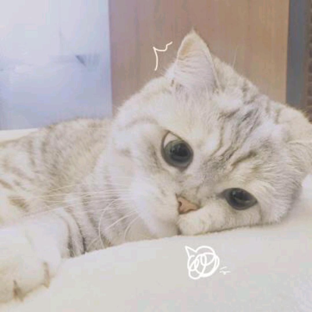 很圆呀