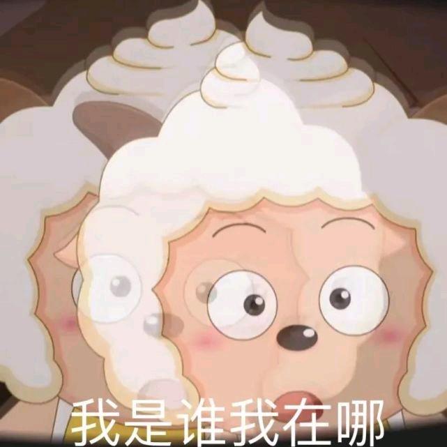 哈(●'◡'●)