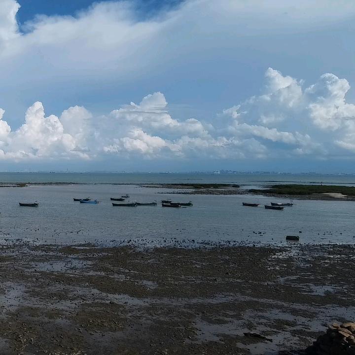 一本万利