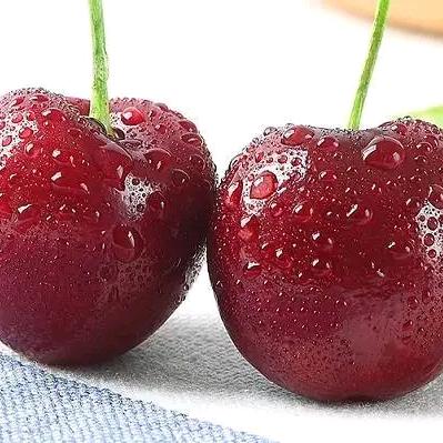 烟花再美只是瞬间