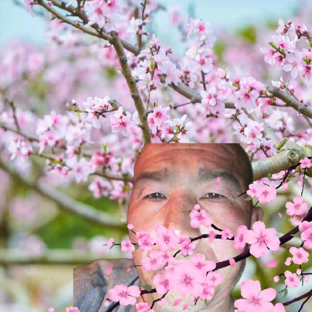 一笑而过好人一生平安