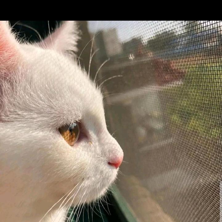 原来的我😊😊