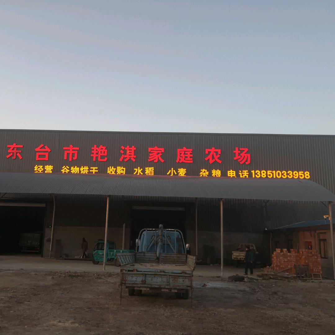 真诚DLH