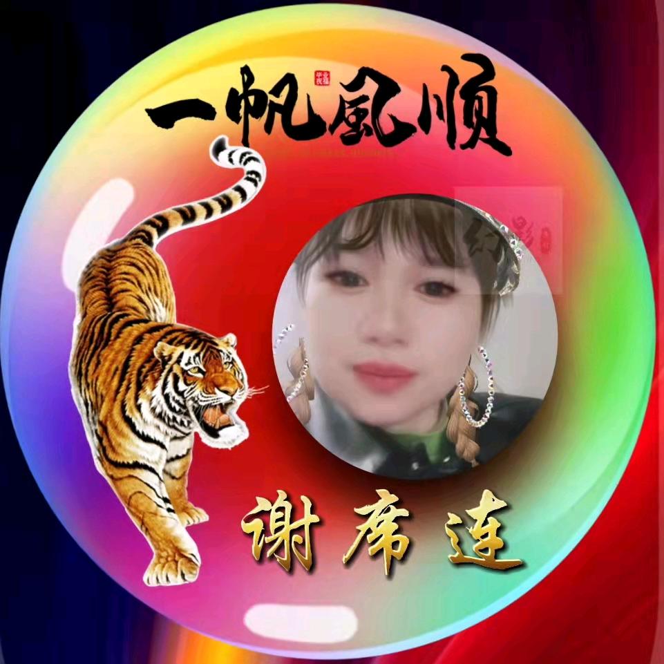 席连