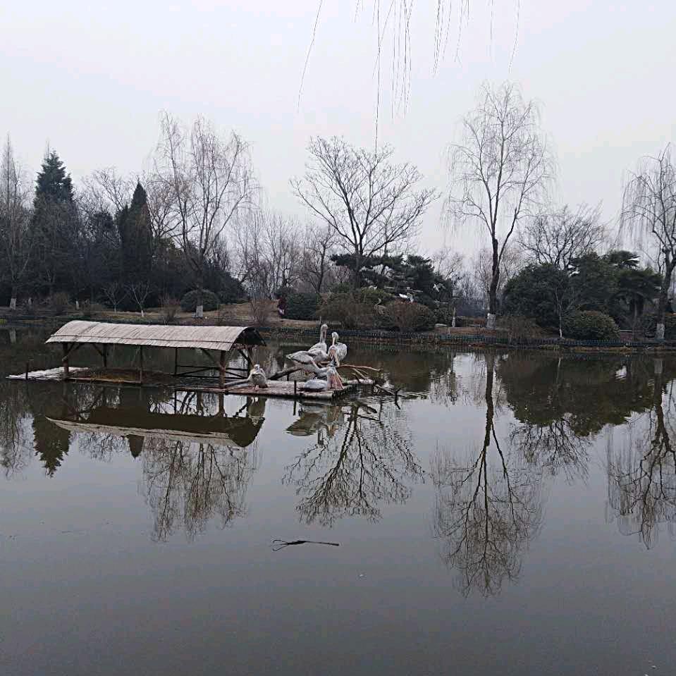 真诚