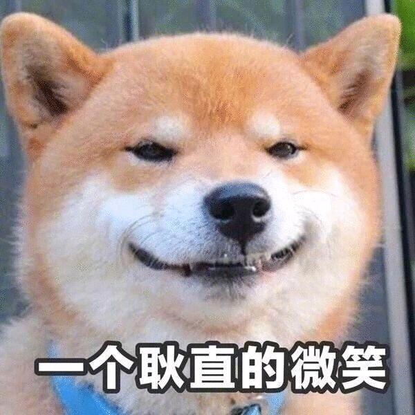 修狗来了