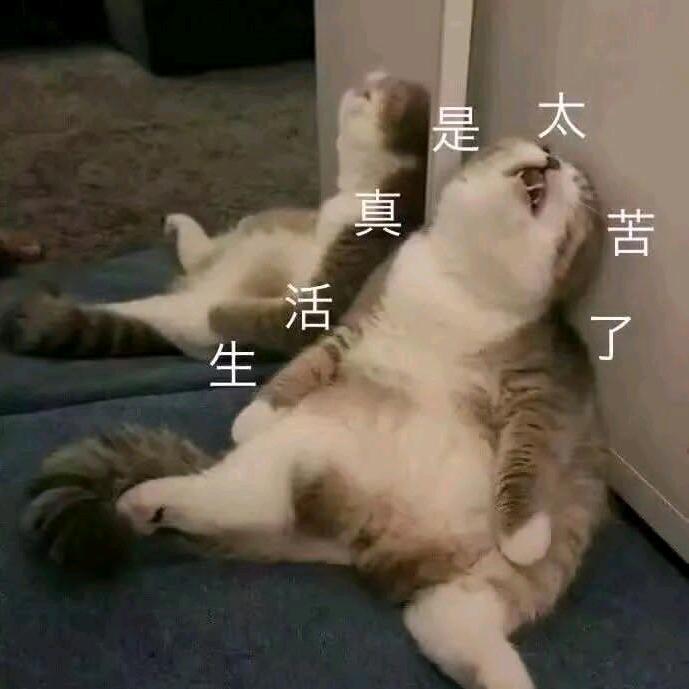 mykong