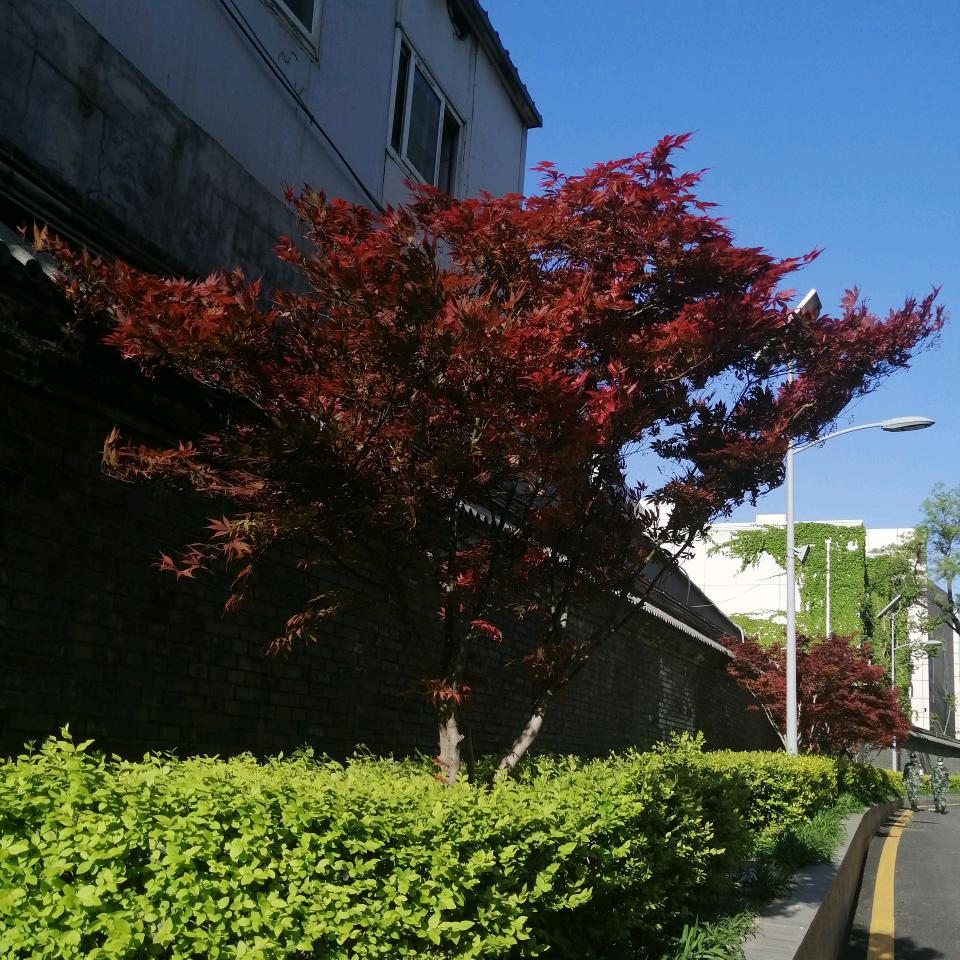 阿杰