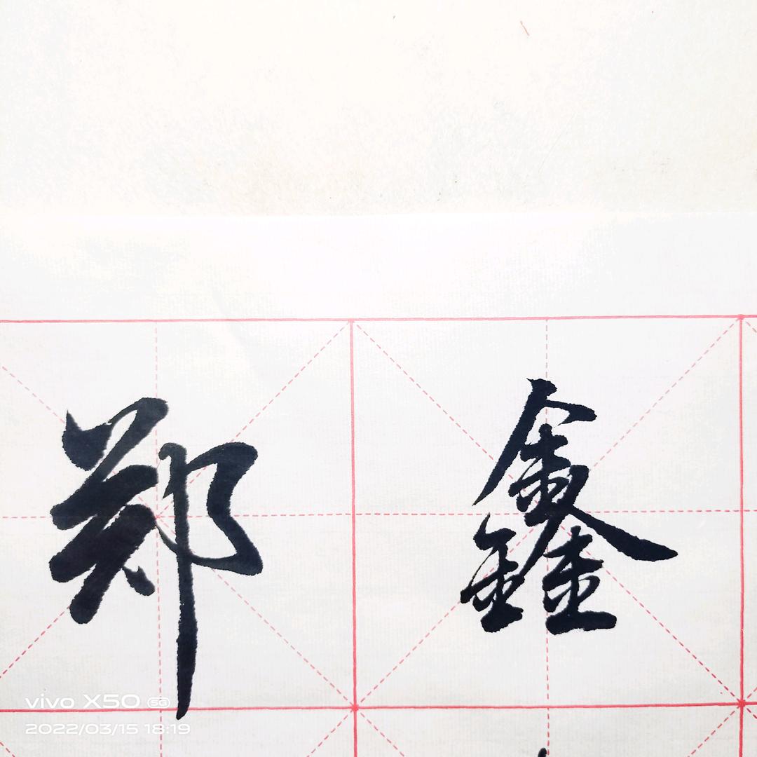 郑鑫