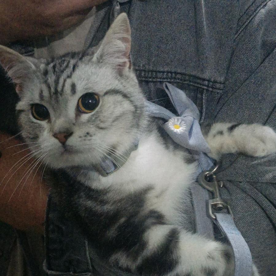 谷雨                 -