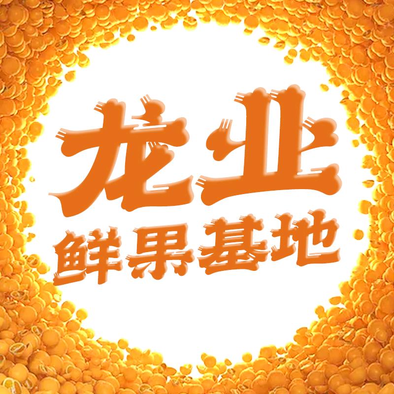 龙业鲜果基地2号