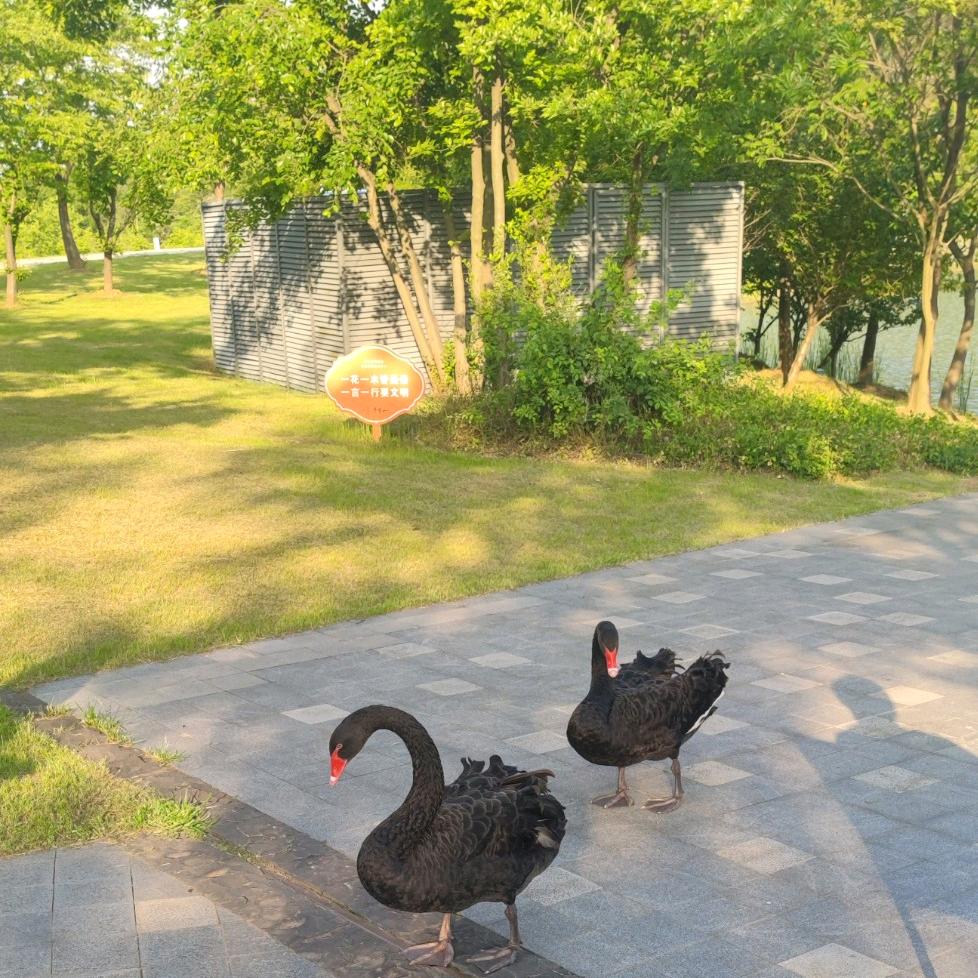 勇敢的面对自己