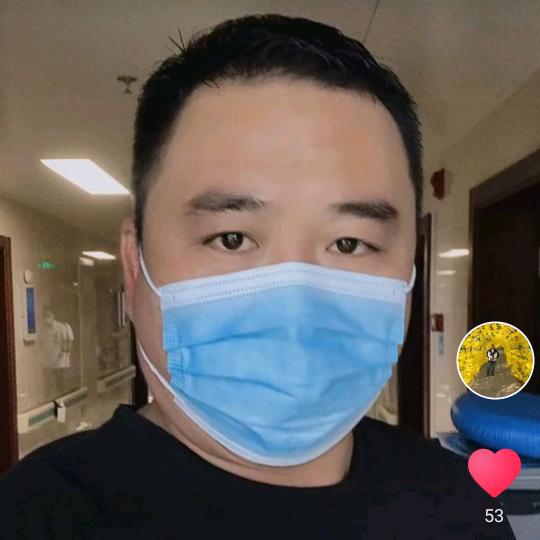 邳州市绿而美银杏苗圃场