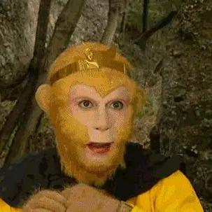 国家一级不保护废物💋