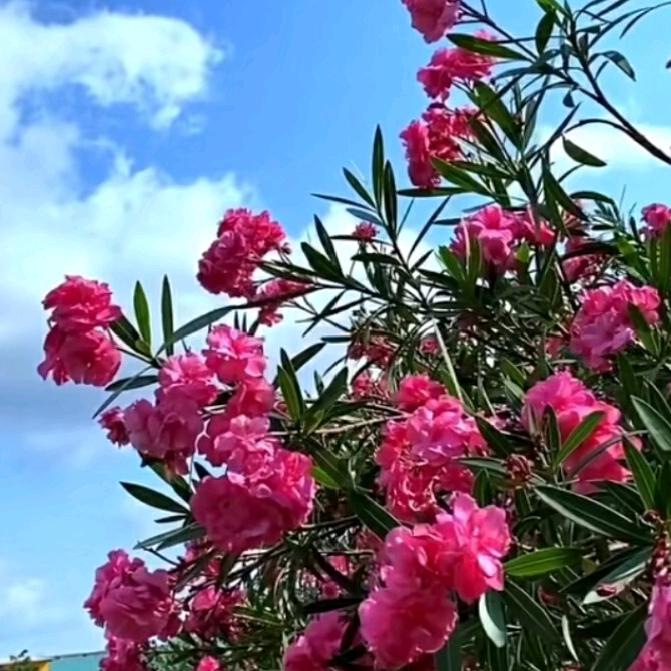 贵州，贵阳开阳县