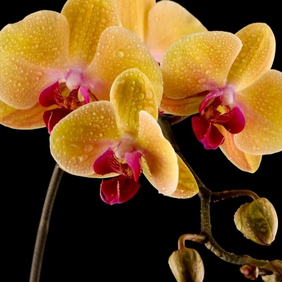 云霄县慕芮百货店