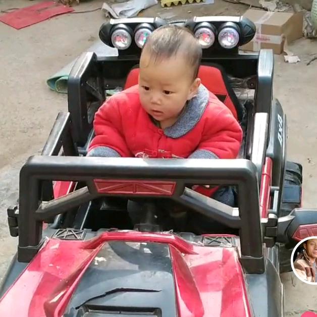 专业收树，乔家建，