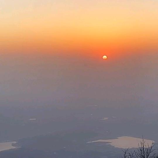 夏秋实