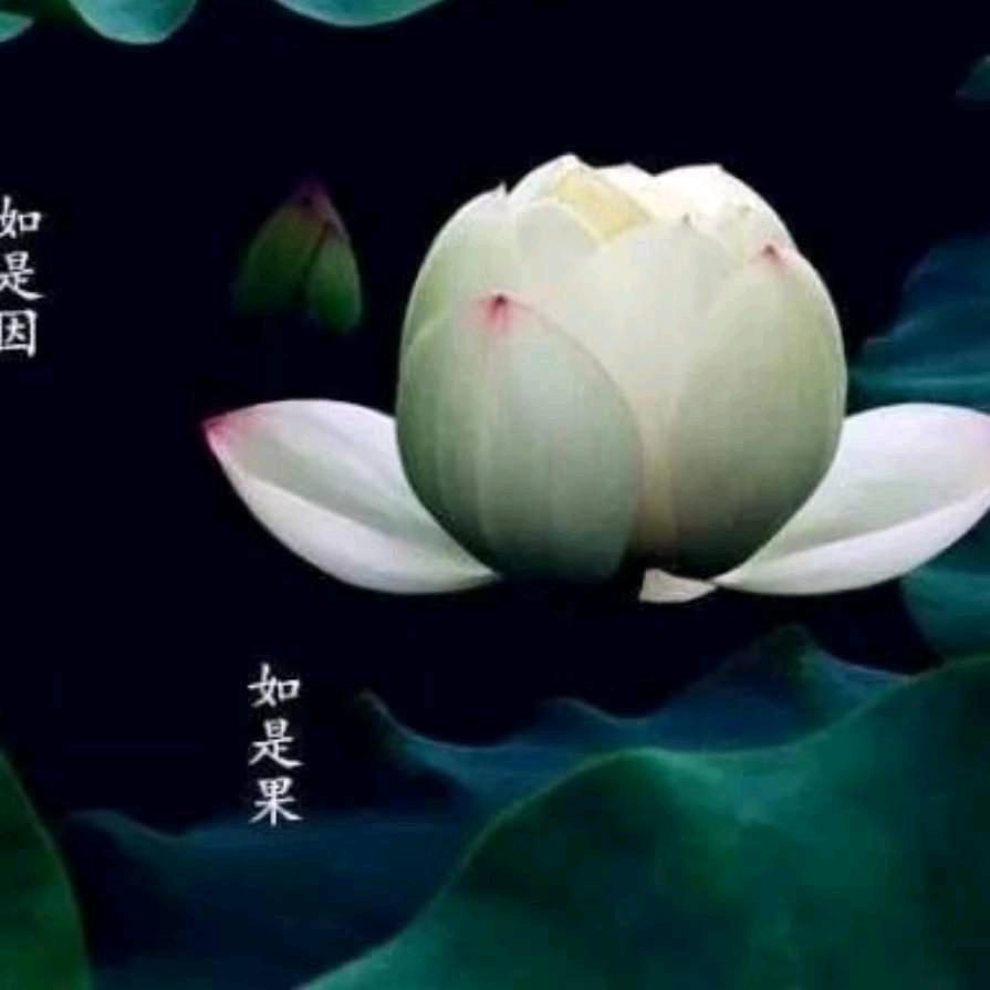 阿登