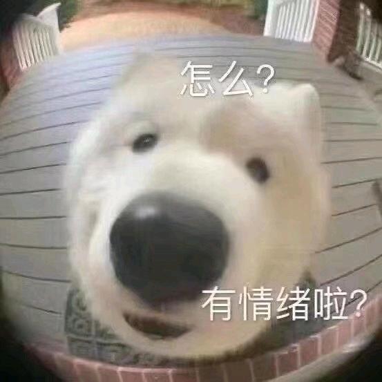 玉米