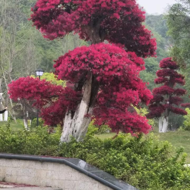 追梦733130