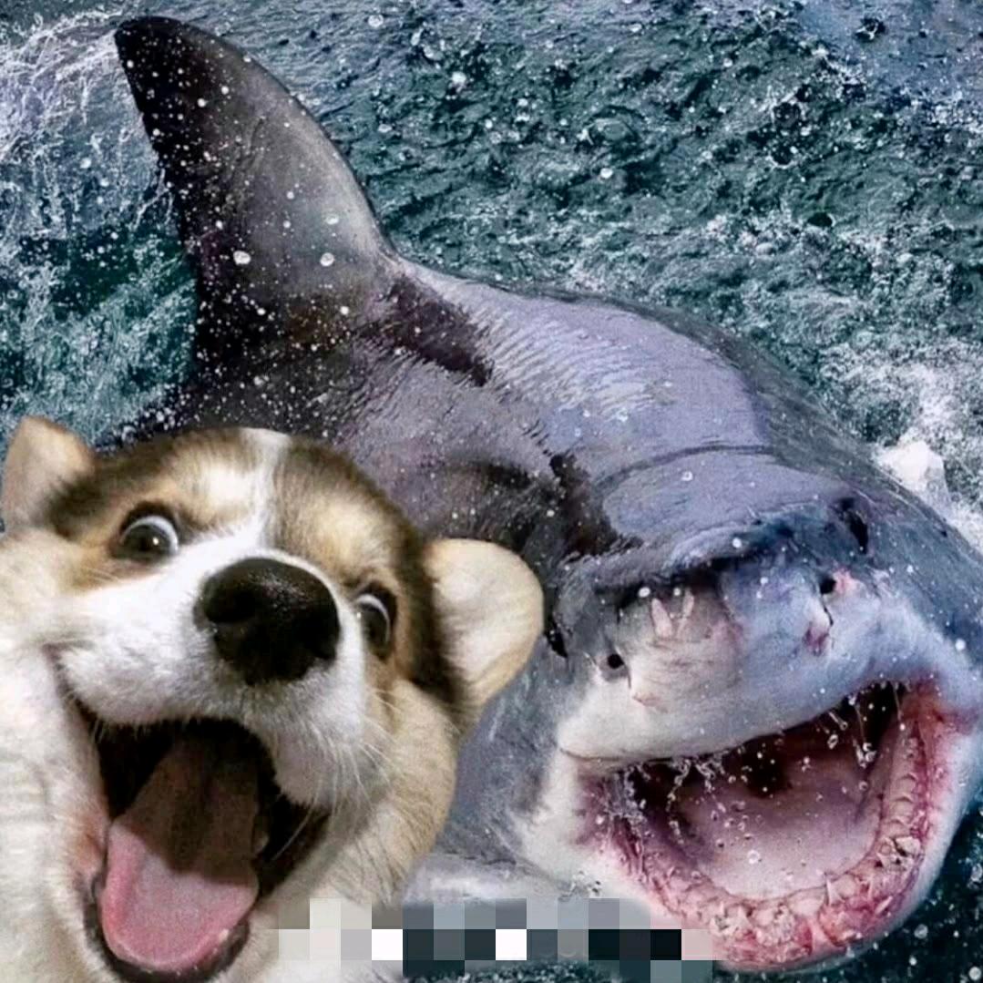 邪