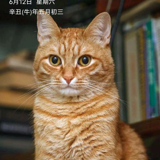陈华:水电安装