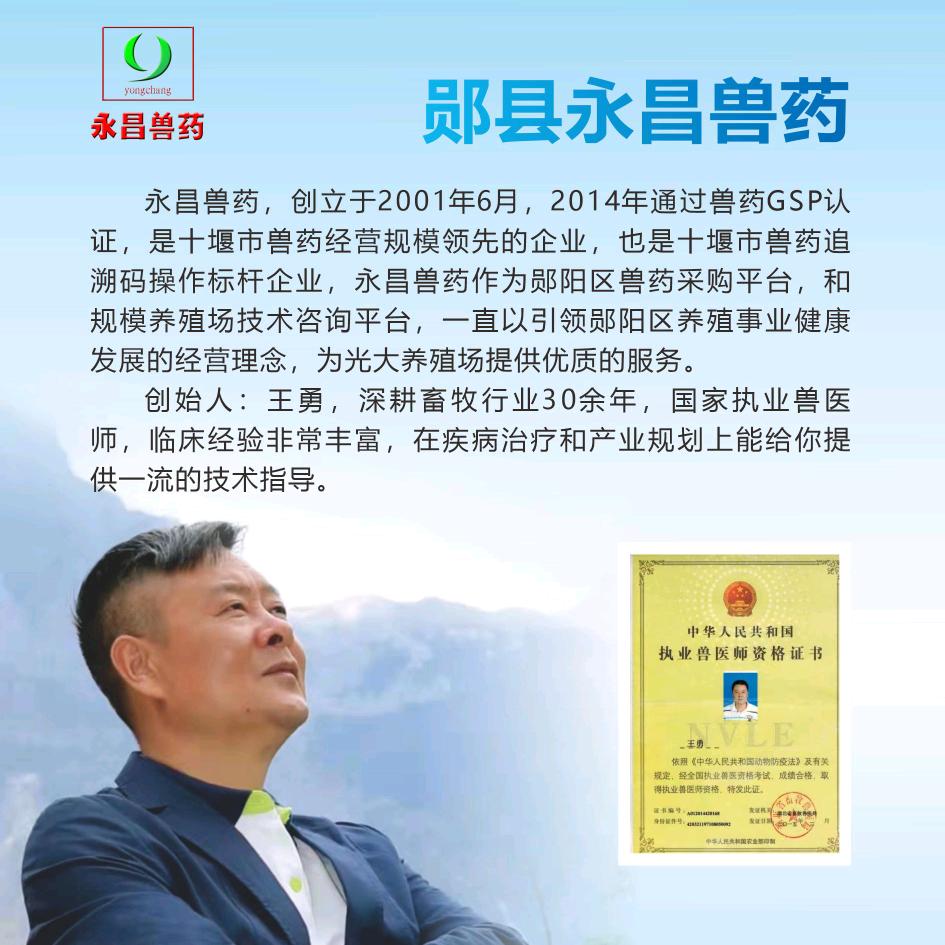 帅哥兽医师