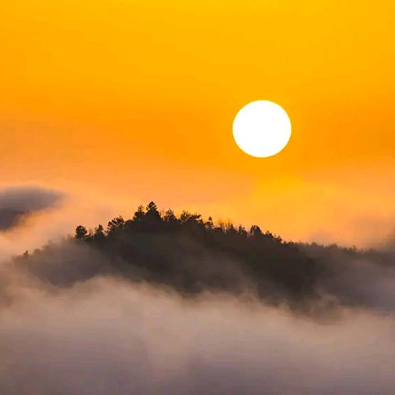 我看青山