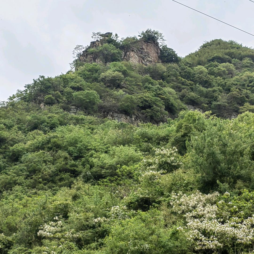 山里雄鹰