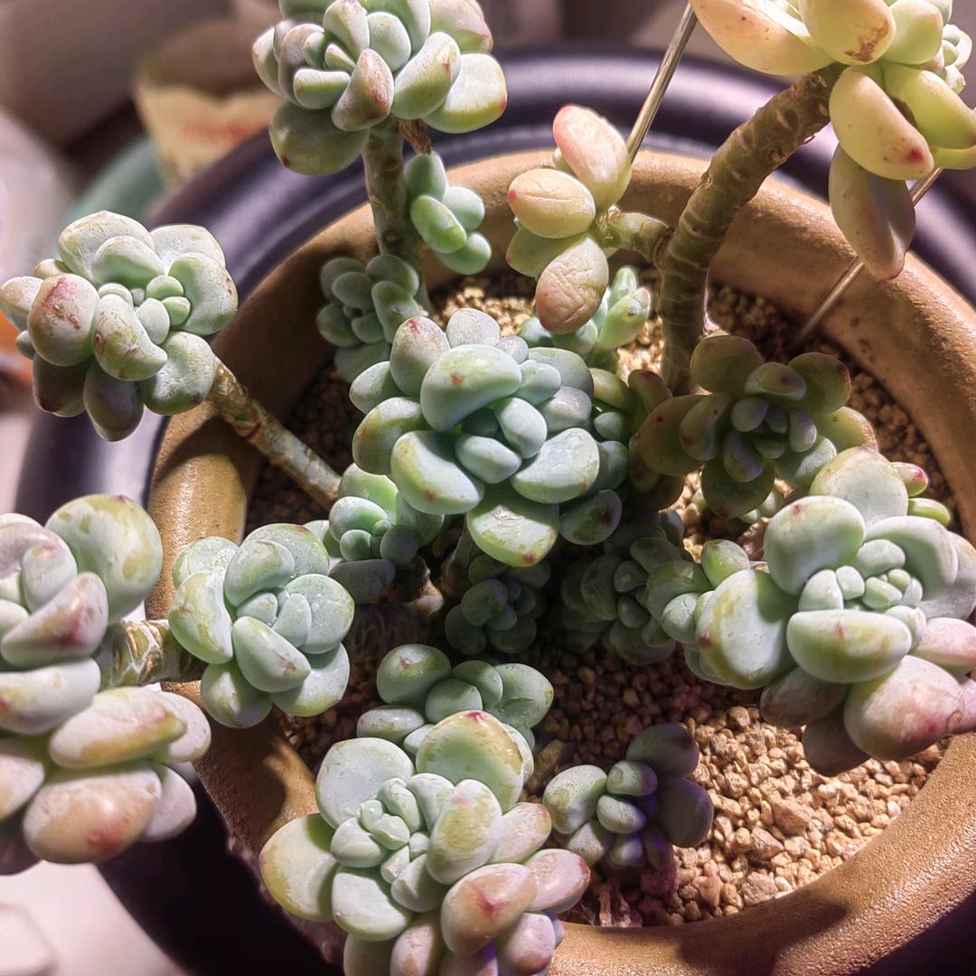 时光不老，你我安好。