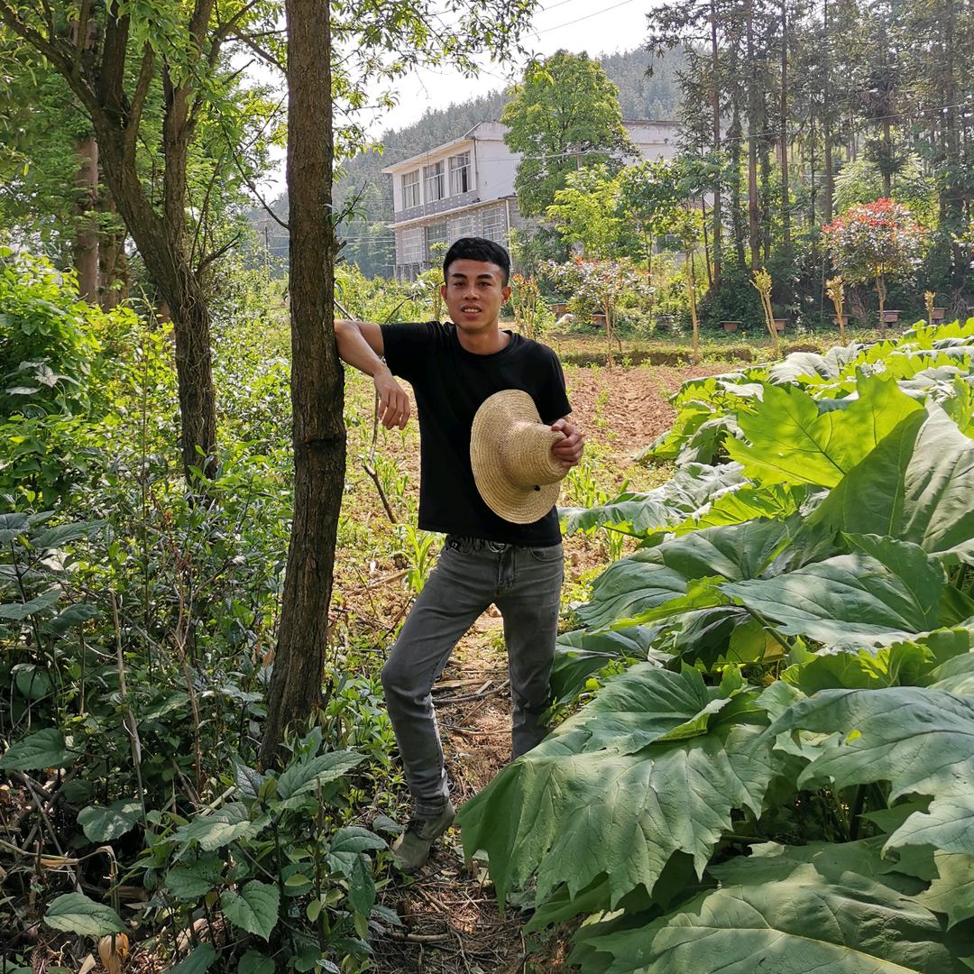 土家阿杰