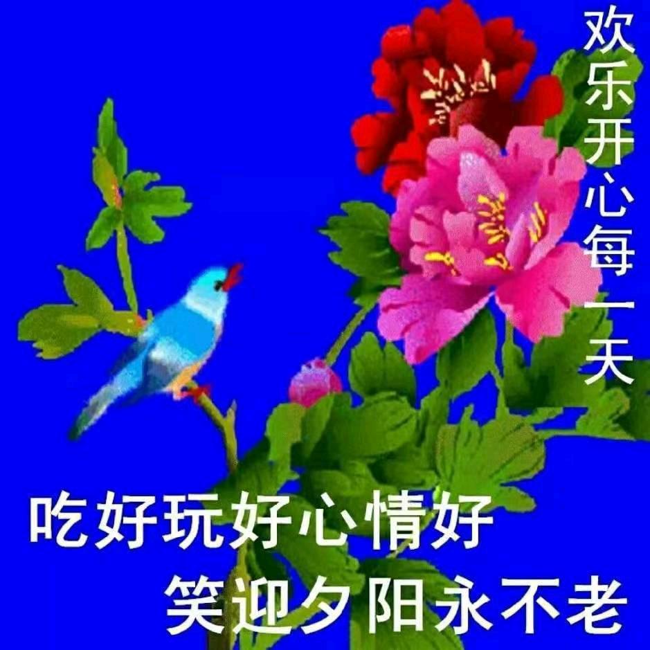 一生陪伴