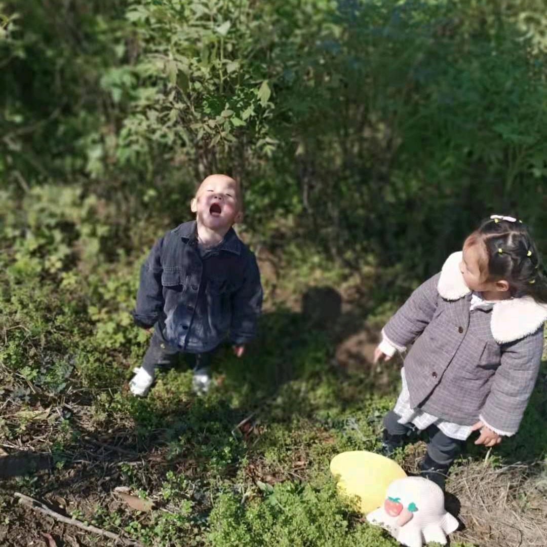 栾丽苹