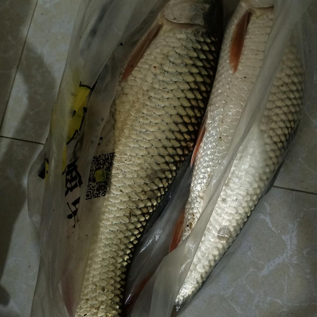 飘逸