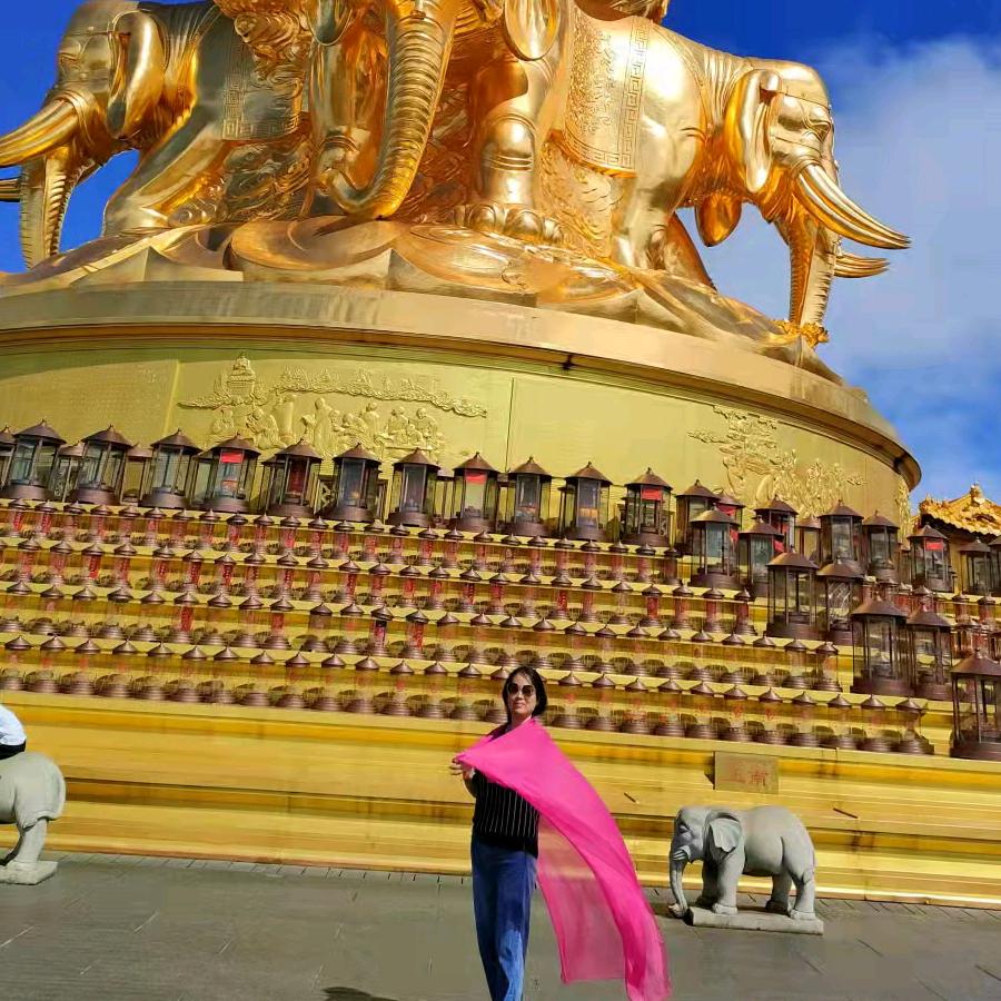 液态饲喂模式菌种包焰