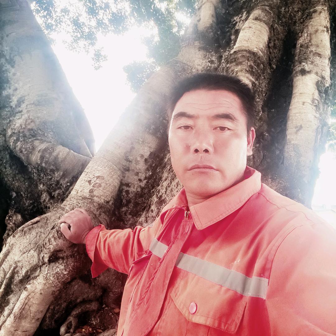 苦练哥