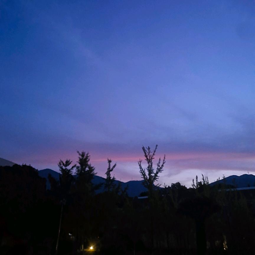 本人智商已欠费