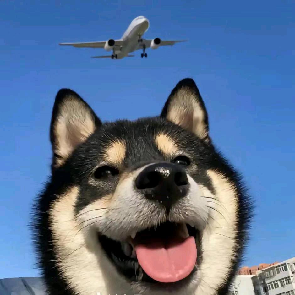 曦仔