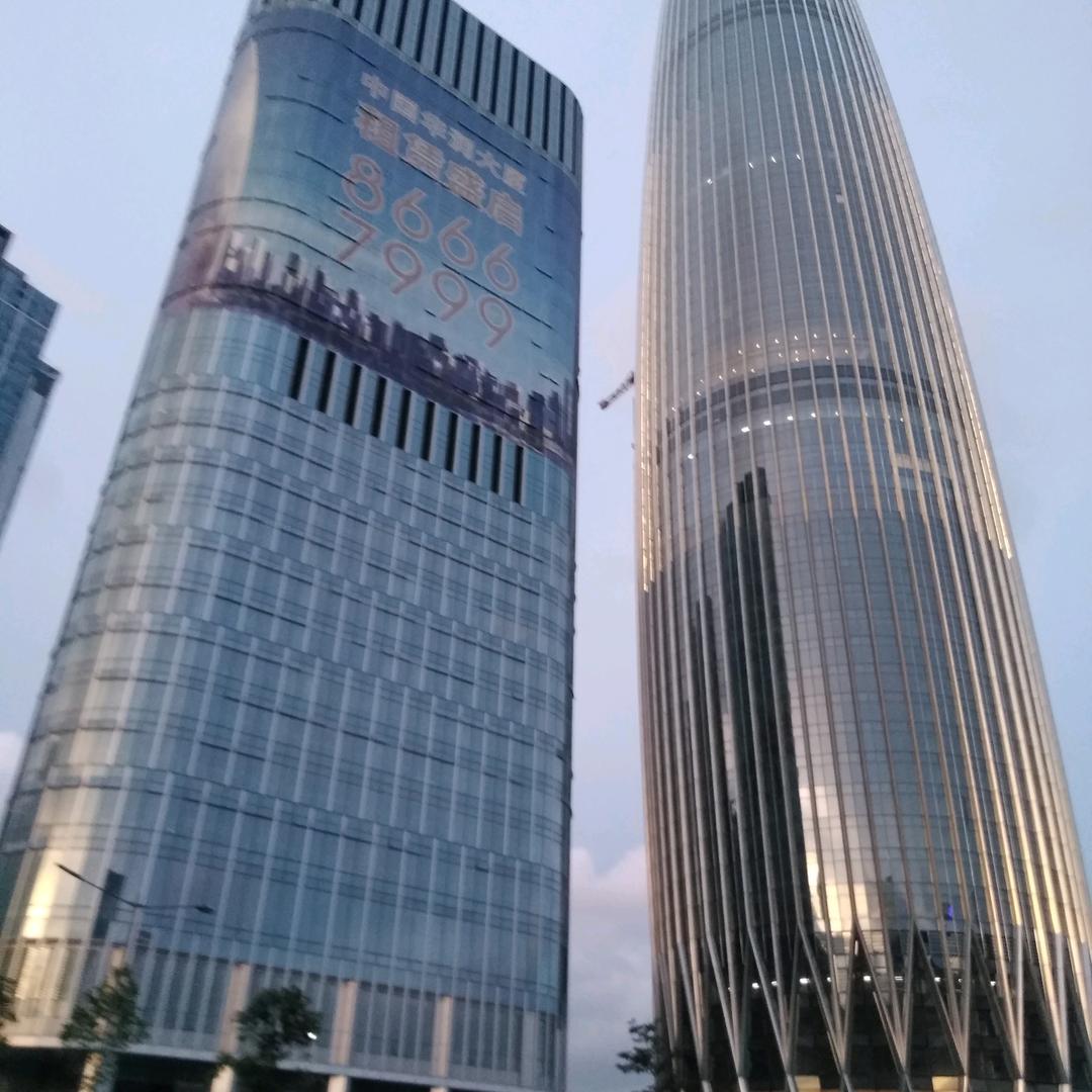多情的种子