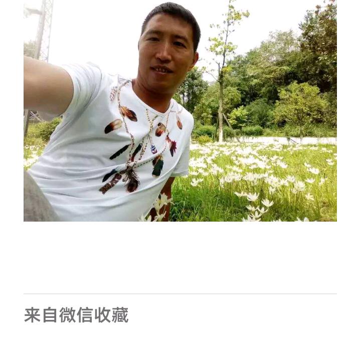 一陈风一场梦