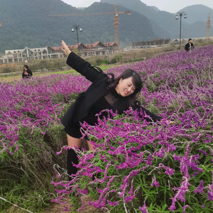 芬姐烧椒特色牛肉