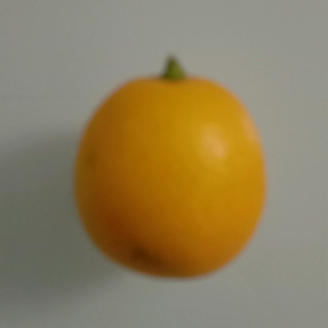 老高